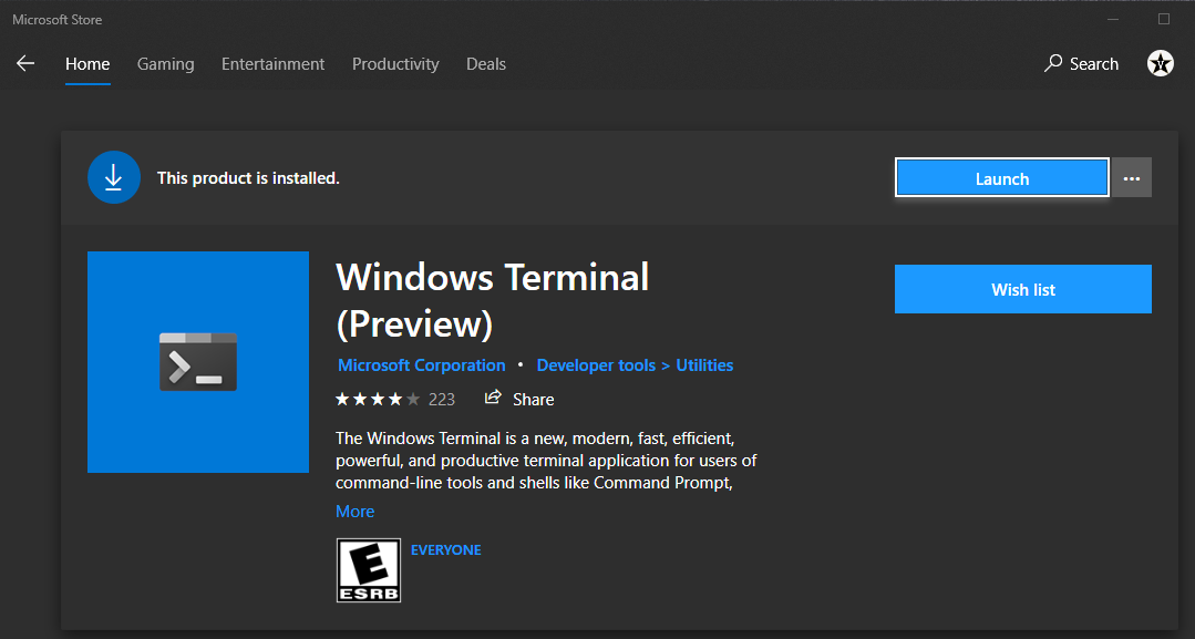 good terminal for windows